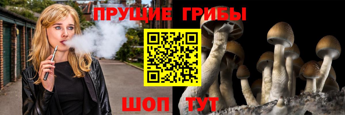 Ачинск  Псилоцибиновые грибы мицелий  закладки  Вход с VPN 